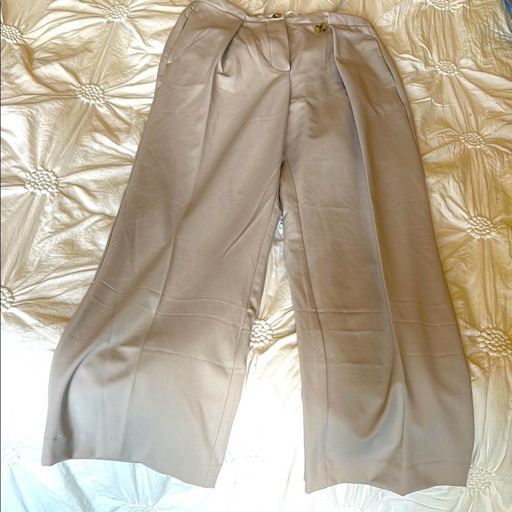 NWOT FREE PEOPLE Pleated, Button fly trousers. Stone/light tan color. Wms MED